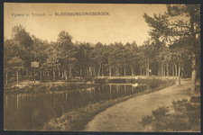 17620 Gezicht op een vijver in het bos bij Driebergen-Rijsenburg.